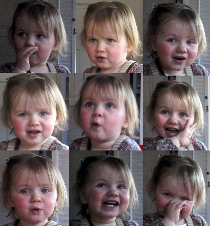 fsrfaces